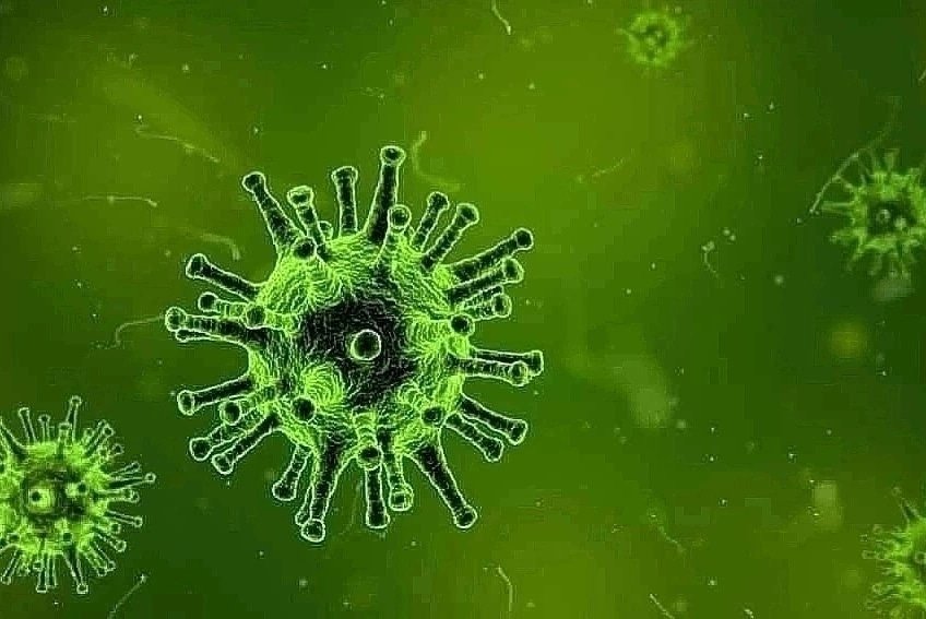 كشف تقرير فيروس كورونا رقم (517) للحالات المشتبه والمؤكدة ليوم الأربعاء 20 أكتوبر 2021، عن تسجيل ( 64 )  إصابات بكورونا مؤكدة. منها (51) بولاية حالة الخرطوم، و( 8 ) بنهر النيل،2 بالقضارف ، و1 بشمال كردفان ، 1 في ولاية الجزيرة، و1 شمال دارفور 
و تسجيل 4 بالخرطوم، و959 حالة نشطة