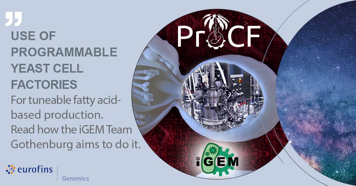 GenomicsEurope's tweet photo. How can an engineered yeast cell factory be used for the eco-friendly production of #oleochemicals for fuels, pharmaceuticals, plastics,... Read how the @iGEM Gothenburg team aims to do it at The DNA Universe BLOG: https://t.co/ONUM8D17GP #genomics #TheDNAUniverse #cellfactory https://t.co/J4dNdabOPx