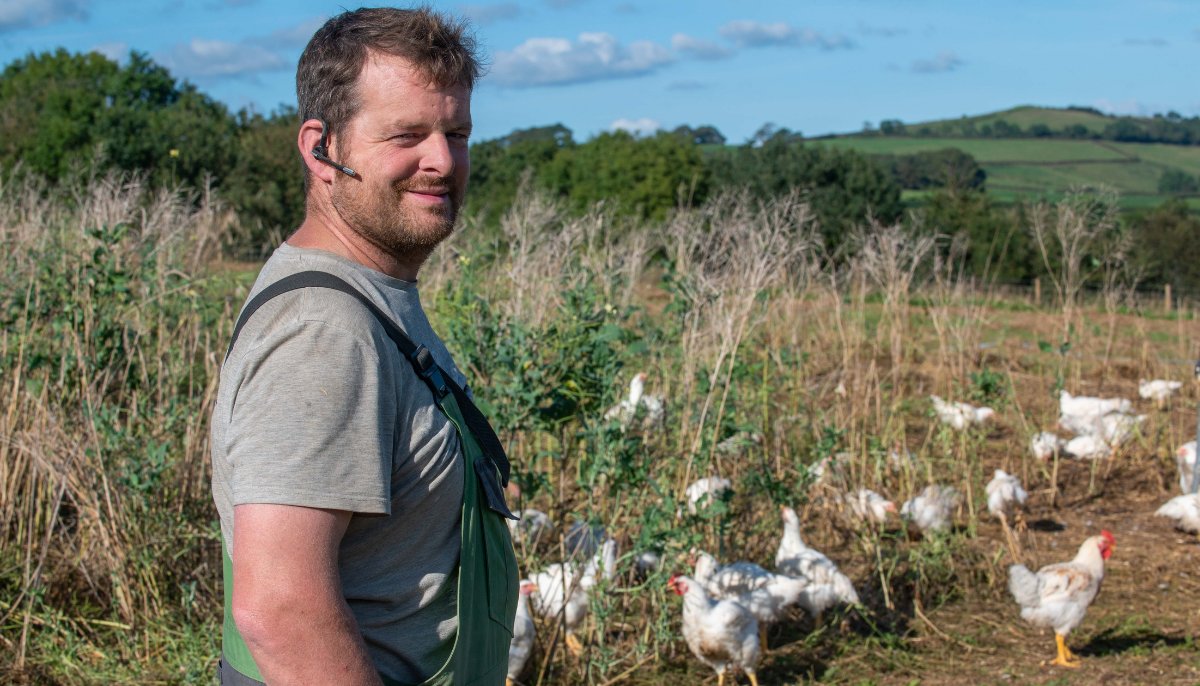 Daniel Mason’s chickens are generally hidden within tall crops of cereals &amp; legumes on his South Devon farm, foraging on fallen seeds, soil organisms &amp; insects. In autumn goldfinches &amp; linnets come to feed on the seeds before the crops are cut &amp; returned to the soils.
#ourfarms