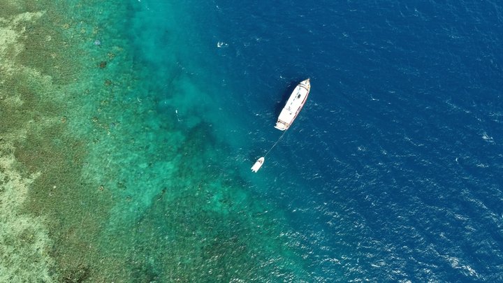 urchinhunter's tweet photo. PhD opportunity (incl. stipend): assessing the ecological roles of sea cucumbers on the Great Barrier Reef using remote sensing. Be part of a large consortium of researchers from universities and industry. Closes 31st October. DM me if interested @MEG_MQ @MQBiology https://t.co/KzNoNIVOsi