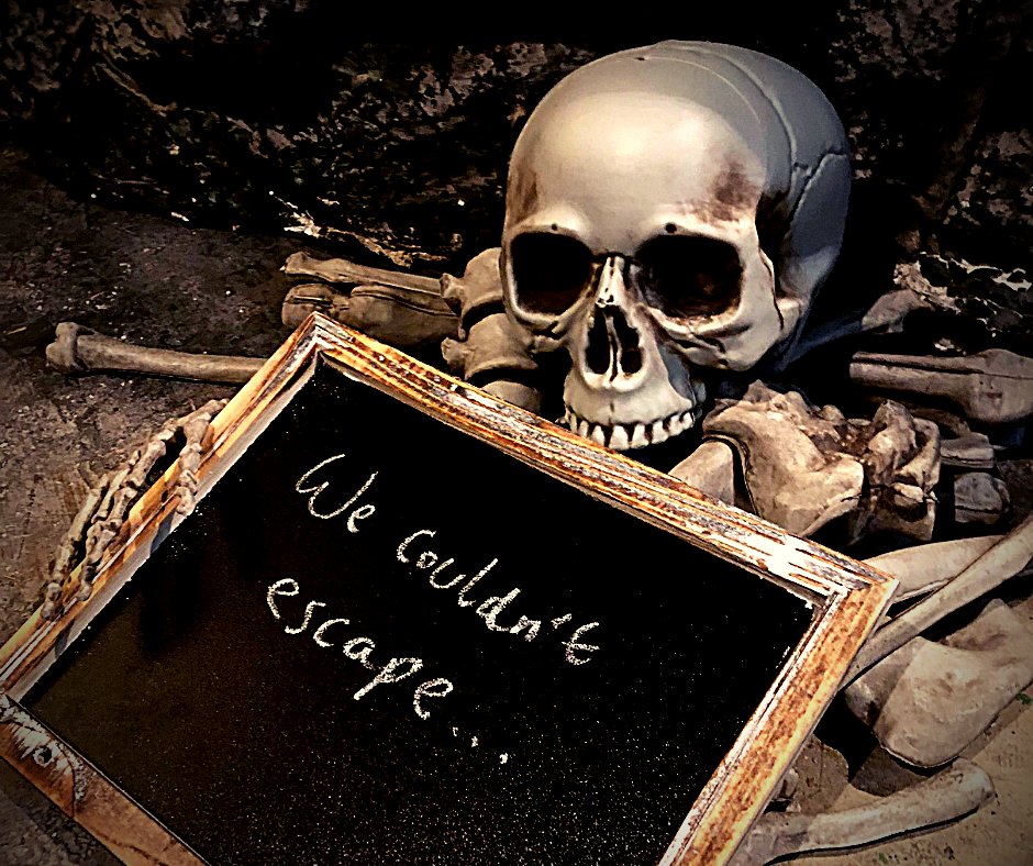 Can You Escape? 🗝️ tweet media