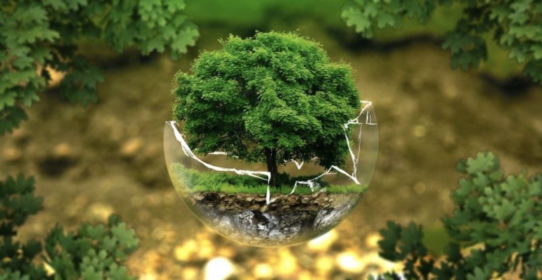 Picnic_Bank's tweet photo. #TransformThursday Challenge: Finance (for the most part) continues to favour profit over planet https://t.co/VnebUDa7OQ โThe task is large, the window of opportunity is short, and the risks are existential.โ
#impactinvesting #sustainable #economy #Climatefintech https://t.co/J5cXwJrMAb