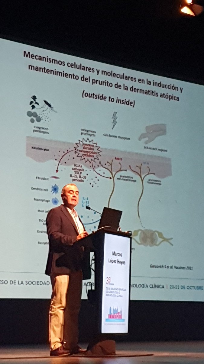 CAJMIR_SEAIC's tweet photo. En el 73% de las dermatitis atópica, se produce una mutación de FILAGRINA. Revisamos nuestras barreras, entre ella la barrera cutánea con @MarcosLopezHoy2 #SEAIC2021 https://t.co/EUU8M7asaV