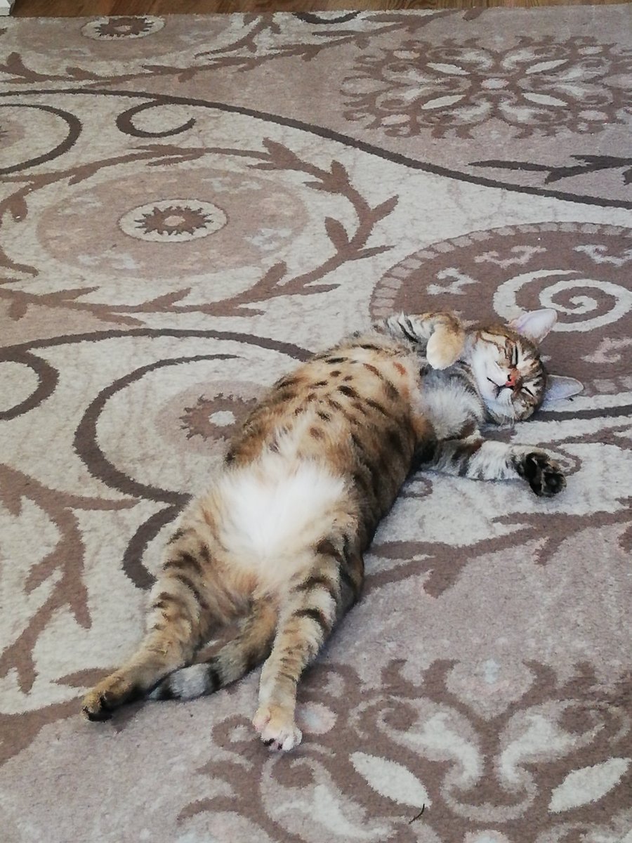 Neyse ki kedim var..