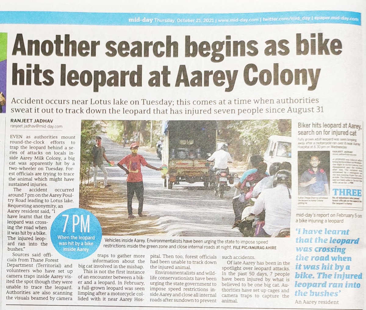MaldeNimish's tweet photo. Please impose speed restrictions in Aarey
#SaveLeopard #SaveAarey
Thanks @ranjeetnature
@mybmc @IqbalSinghChah2 @CPMumbaiPolice @ConserveAarey @saveaarey @AUThackeray @PreetiSMenon @rubenmasc @GreenStalin @zoru75 @yashmarwah https://t.co/bu6sFV7gUB