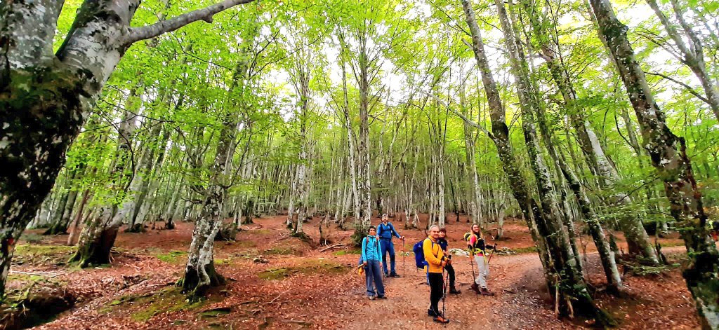 SpainExploring's tweet photo. Enjoy hiking from the pastoral landscapes of the middle mountains of the #basquecountry, to the high levels of the Navarrese #Pyrenees.
https://t.co/B9KjmsYqaC https://t.co/ibdltedVDC