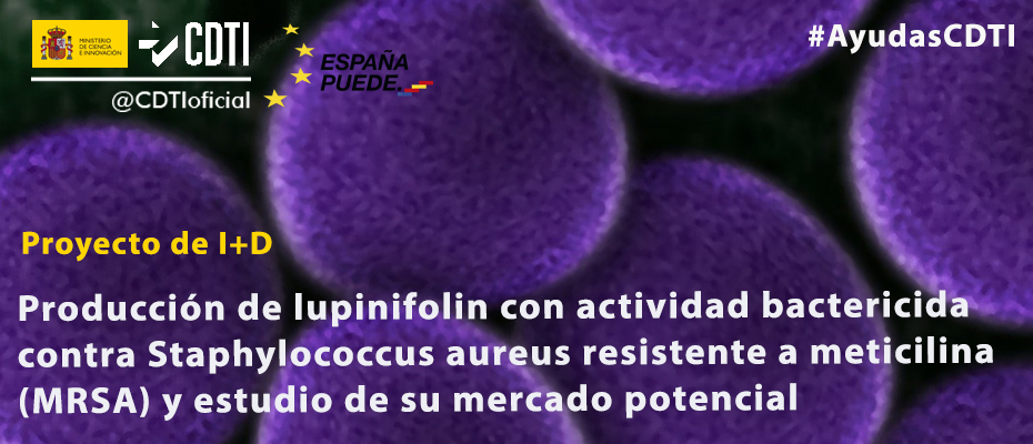 CDTI_innovacion's tweet photo. Promovemos la #bioeconomía apoyando con #AyudasCDTI proyectos como el de #CleanBiotec
🔸 Producción de compuesto natural efectivo contra el SARM👉 https://t.co/hXRQegTYkq
🔸 Colabora #PCRU University
➡️ Proyectos de I+D https://t.co/Y7rq55ebLP
#salud #tratamiento #bacterias https://t.co/wC78sQfpPV