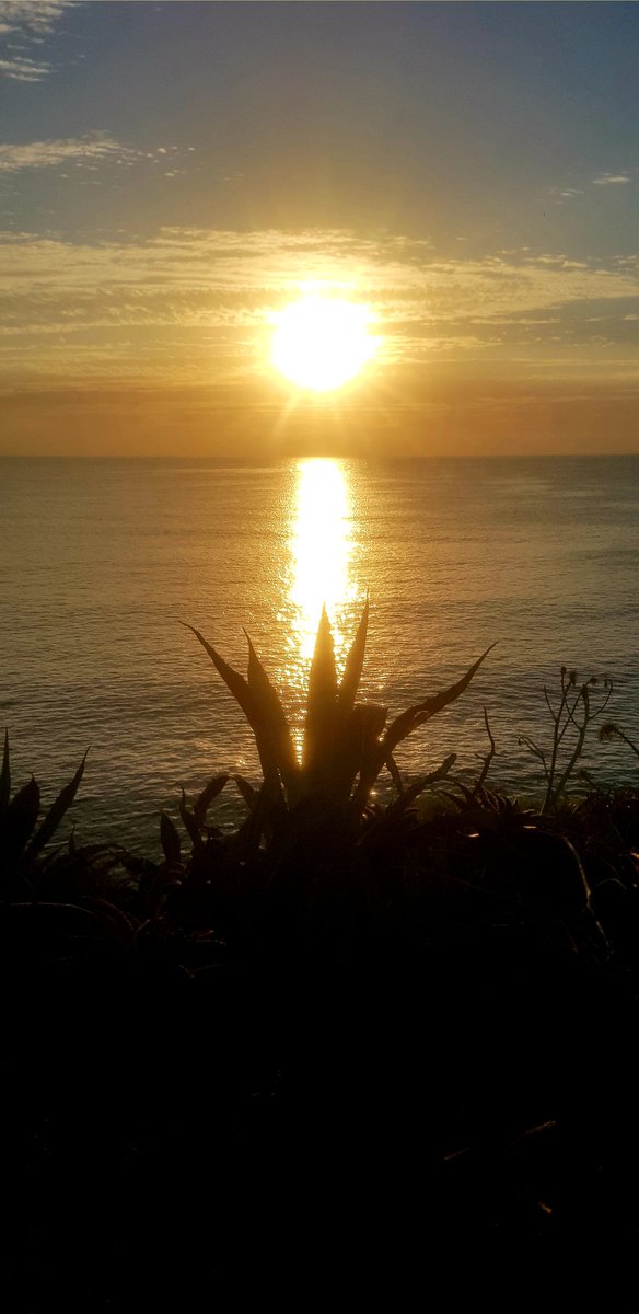 pacosamuperez's tweet photo. 🖐Bon dia🌍!
Amanece que no es poco😜🤙
#Botafoc #Talamanca #Ibiza #Icardi 😅 Al lío💃🕺🏃♂️ https://t.co/lDkHh1Vlyr
