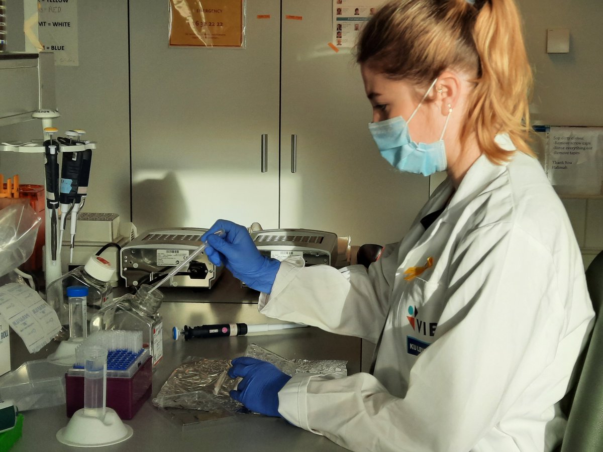 BergersLab's tweet photo. Today is "Dag tegen Kanker"/Day against Cancer. At our lab we are working hard every day to gain insights in cancer, and more specifically the tumor microenvironment. Thank you @komop_tgkanker for the support!
#whywecare #dagtegenkanker 
@vib_ccb @Onco_KULeuven @VIBLifeSciences https://t.co/YfrHFZyLtG