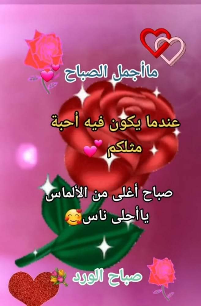 صباح الخير والورد وجمال واجمل الابتسامه والضحكة الجميلة وسعادة ومحبة على قلوبكم الصافية والطيبة 🌹