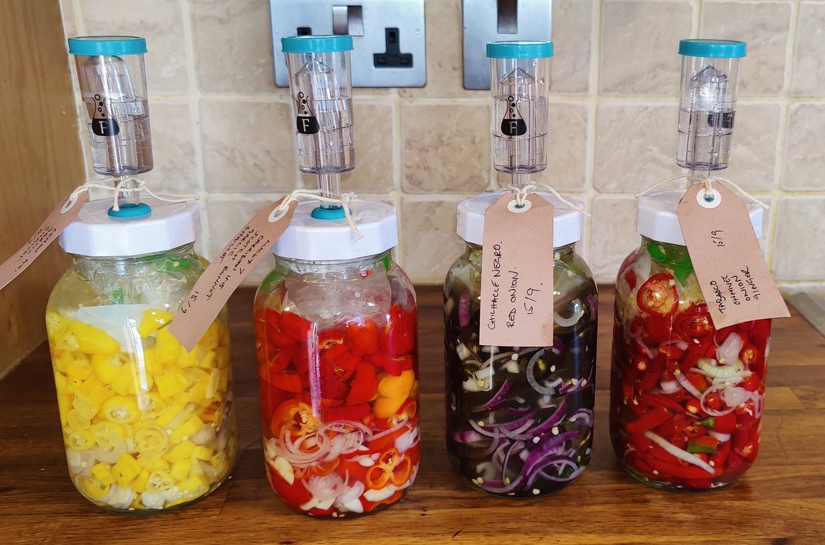 English Country Life tweet media