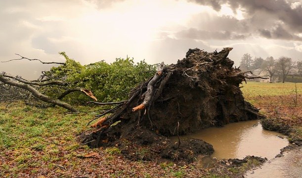 🌬️ door storm kan acuut gevaar of schade ontstaan. 
Acuut gevaar/spoed (bv. instortingsgevaar, losgeraakte dakpannen of een boom die dreigt om te vallen op de openbare weg)? Bel 112. 
Niet acuut en in de openbare ruimte (bv. omgevallen boom in een berm)? Bel de gemeente: 14 078.