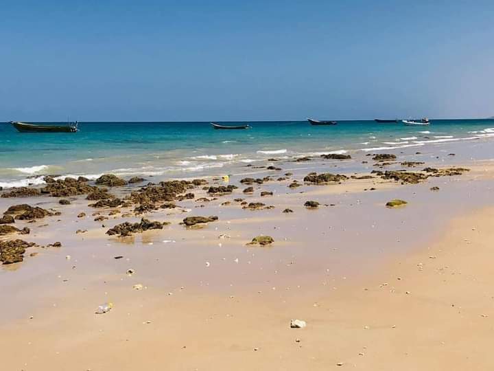 _kiimo25's tweet photo. Ceelaayo sanaag 🇸🇴🤍 https://t.co/VGn3PhtD6n