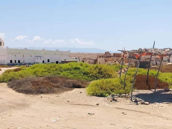 _kiimo25's tweet photo. Ceelaayo sanaag 🇸🇴🤍 https://t.co/VGn3PhtD6n