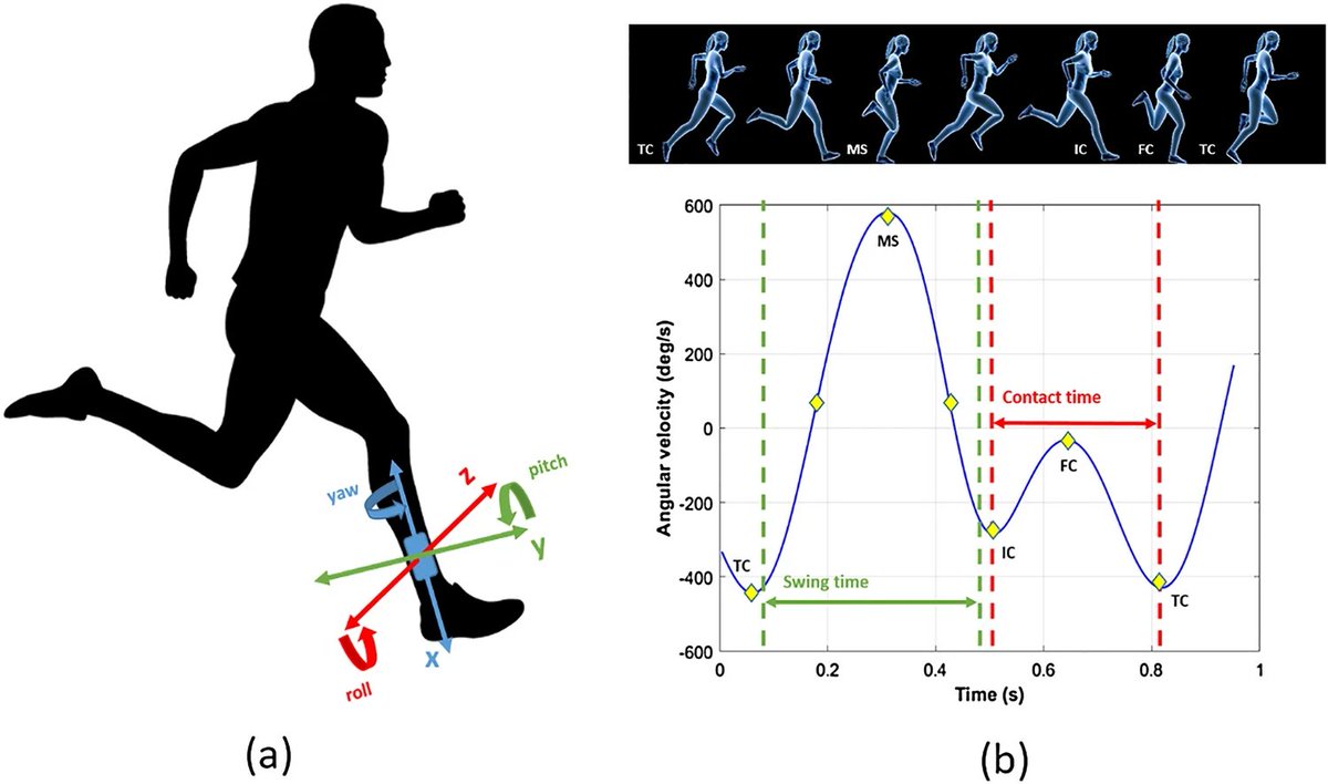 Sports Engineering ππ» (@isea_journal) on Twitter photo π’πpaper:
πAutomatic classification of #running #surfaces using an ankle-worn inertial #sensorπββοΈπββοΈ
by <a href="/WorseyMatthew/">Matthew Worsey</a> @hgerzain & <a href="/SportJono/">Jonathan Shepherd</a>
Read for free with this #SharedIt link: rdcu.be/czVD0 π’πpaper:
πAutomatic classification of #running #surfaces using an ankle-worn inertial #sensorπββοΈπββοΈ
by <a href="/WorseyMatthew/">Matthew Worsey</a> @hgerzain & <a href="/SportJono/">Jonathan Shepherd</a>
Read for free with this #SharedIt link: rdcu.be/czVD0