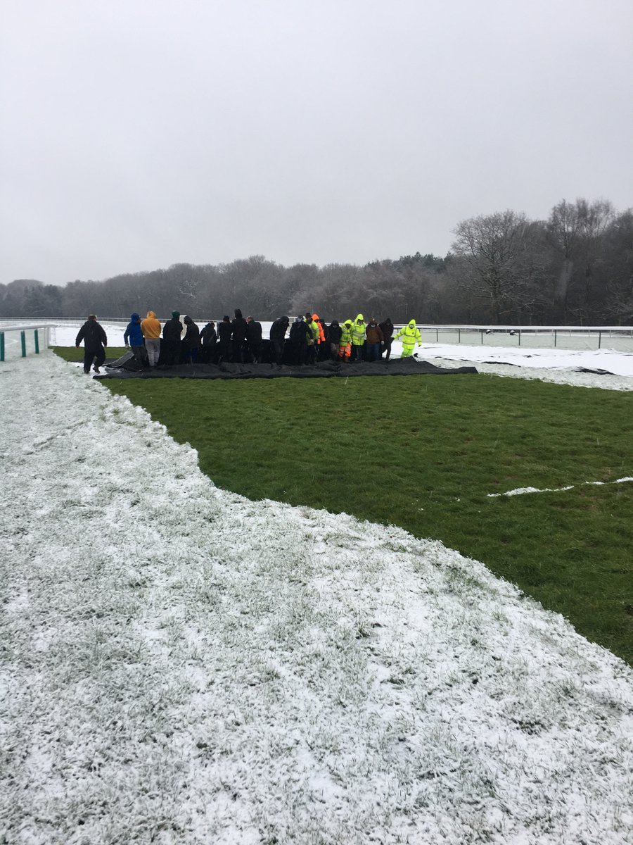 The RCA (@therca) on Twitter photo Grounds teams work tirelessly all year round to keep our racecourses in tip top condition for racing 🚜 #RacingStaffWeek  
The Going, created for #GroundsWeek, showcased some of the dedicated grounds teams from across British racing! #WeAreRacing
➡️ racecourseassociation.co.uk/the-going-the-… Grounds teams work tirelessly all year round to keep our racecourses in tip top condition for racing 🚜 #RacingStaffWeek  
The Going, created for #GroundsWeek, showcased some of the dedicated grounds teams from across British racing! #WeAreRacing
➡️ racecourseassociation.co.uk/the-going-the-…