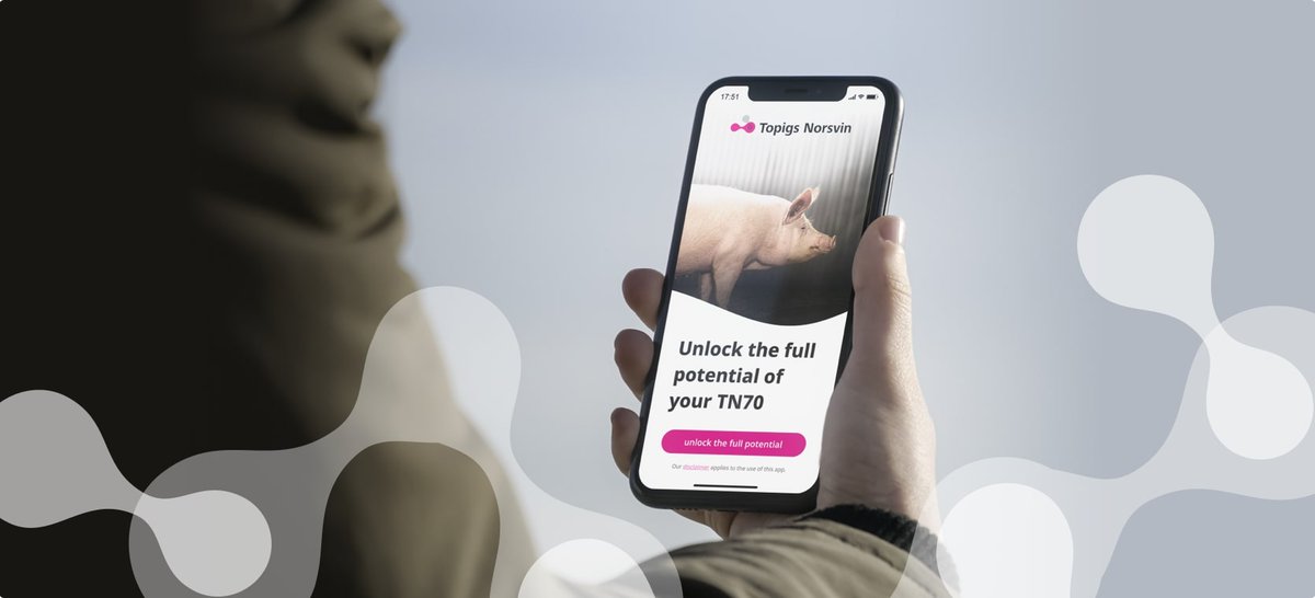 Topigs Norsvin is een van ‘s werelds meest innovatieve varkensfokkerij organisaties. Dit wilden ze op een innovatieve manier naar hun klanten overbrengen - met een app. ketjapp.nl/ons-werk/de-ap…