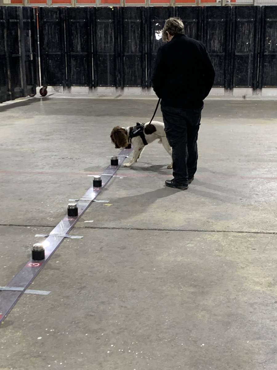 DogsHmpps's tweet image. Was lovely to see so many colleagues from across the estate last week, taking part in our Drug Detection Dog Trials at our National Centre. Thank you to everyone who supported this event. #OperationalDogs #PrisonDogs #K9 #WorkingDogs