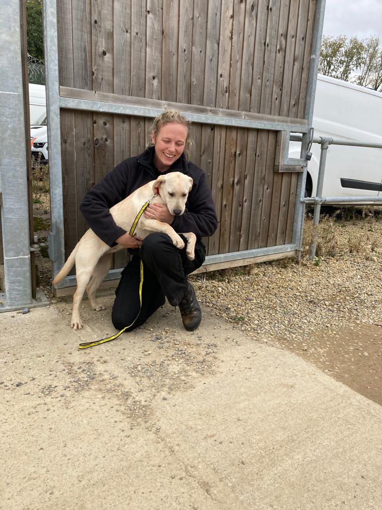 DogsHmpps's tweet image. Was lovely to see so many colleagues from across the estate last week, taking part in our Drug Detection Dog Trials at our National Centre. Thank you to everyone who supported this event. #OperationalDogs #PrisonDogs #K9 #WorkingDogs
