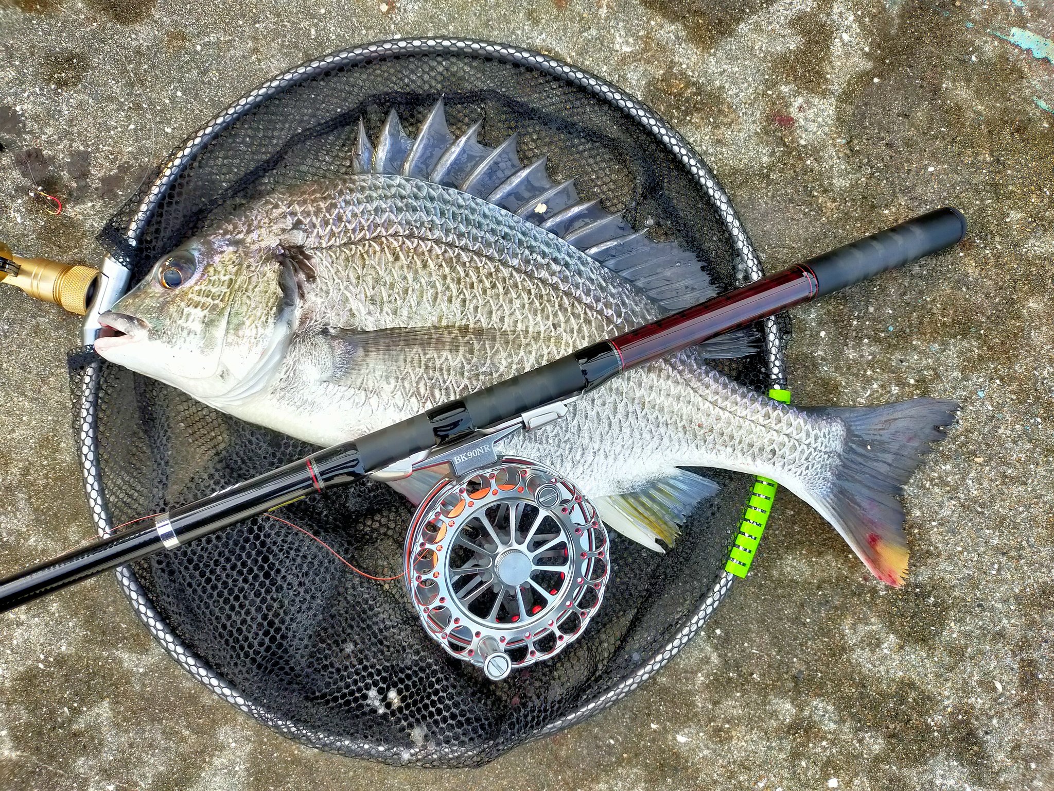 リバティクラブ小継磯 Twitter Search Twitter