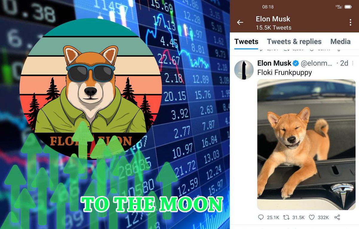 tothemoon122's tweet photo. @WuBlockchain Next Floki Elon to The Moon 🚀🚀 https://t.co/LDS3XyFfHA