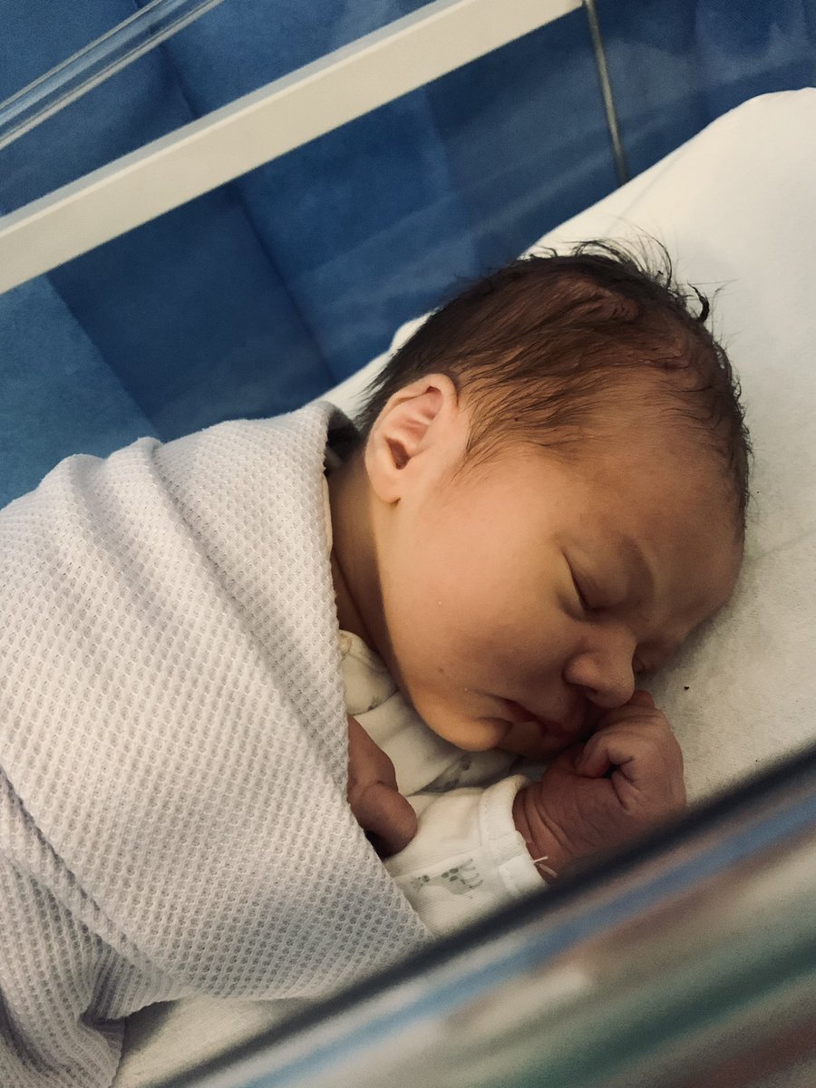 Lisa Shanley tweet media