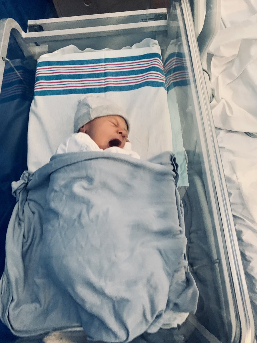 Lisa Shanley tweet media