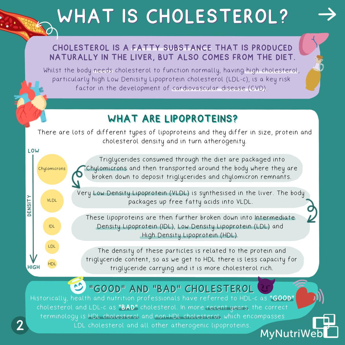 MyNutriWeb's tweet photo. ✏️ NEW INFOGRAPHIC: Why we should pay attention to LDL cholesterol earlier in life to reduce cardiovascular disease risk & the role of diet with Alan Flanagan.
Download this graphic & other key resources: https://t.co/e5sY1a9P29
#LoweringLDLc
@dietlg @heartukcharity @Benecol https://t.co/cibaZMElqX