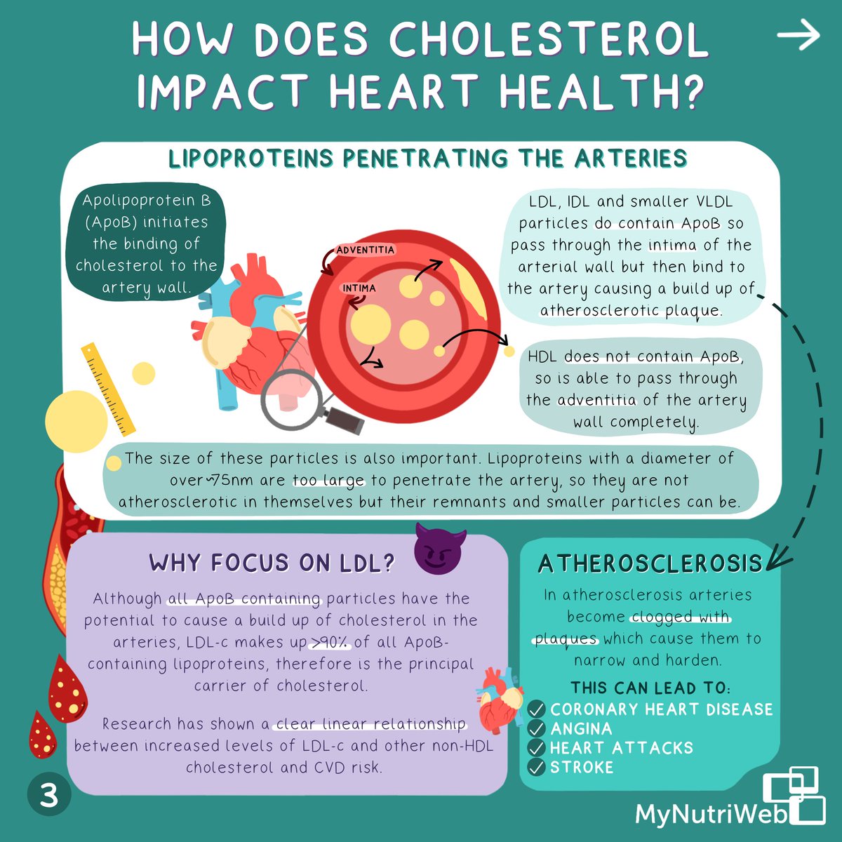 MyNutriWeb's tweet photo. ✏️ NEW INFOGRAPHIC: Why we should pay attention to LDL cholesterol earlier in life to reduce cardiovascular disease risk & the role of diet with Alan Flanagan.
Download this graphic & other key resources: https://t.co/e5sY1a9P29
#LoweringLDLc
@dietlg @heartukcharity @Benecol https://t.co/cibaZMElqX