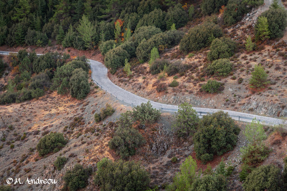 andreou__marios's tweet photo. Adelfoi Forest - Cyprus

#madari #pineforest #quercus #cyprus🇨🇾 #nature #naturephotography #troodosphotography #troodos #nikon #nikonphotography #cyprusphotographer #enjoycyprus #discovercyprus #myamazingcyprus  #autumn #autumncolors

For more photos visit https://t.co/XKUGDHsEJb https://t.co/nFRQM7HZge