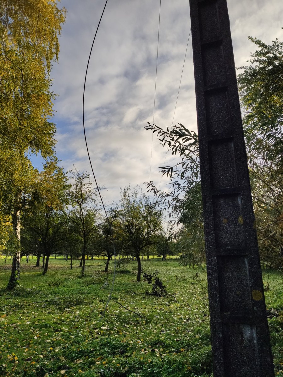 ThScarceriaux's tweet photo. #tempeteAurore De nombreux dégâts ont été constatés suite aux chutes de branches ou arbres. Nos équipes sont mobilisées pour sécuriser et réparer au plus vite comme ici sur la commune de Bucy le Long 02. @enedis_picardie @enedis https://t.co/a0Tp1ysPAU