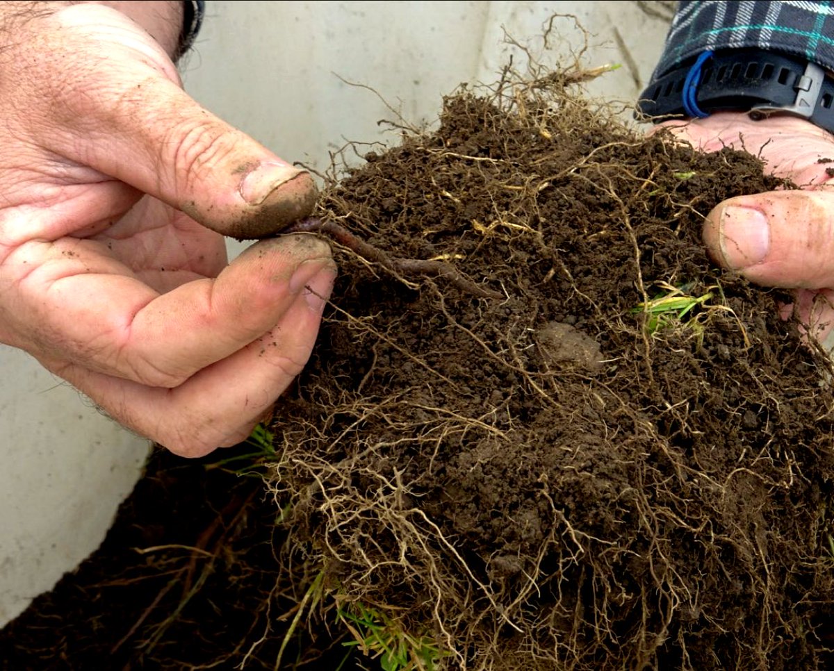 Following on from the webinar on 20 Oct, we are excited to provide practical demonstrations from our local representatives of the WOF tests in a vineyard location near you. ⁠
⁠
Here is father and son, checking on their earth friends @escarpmentvineyard.