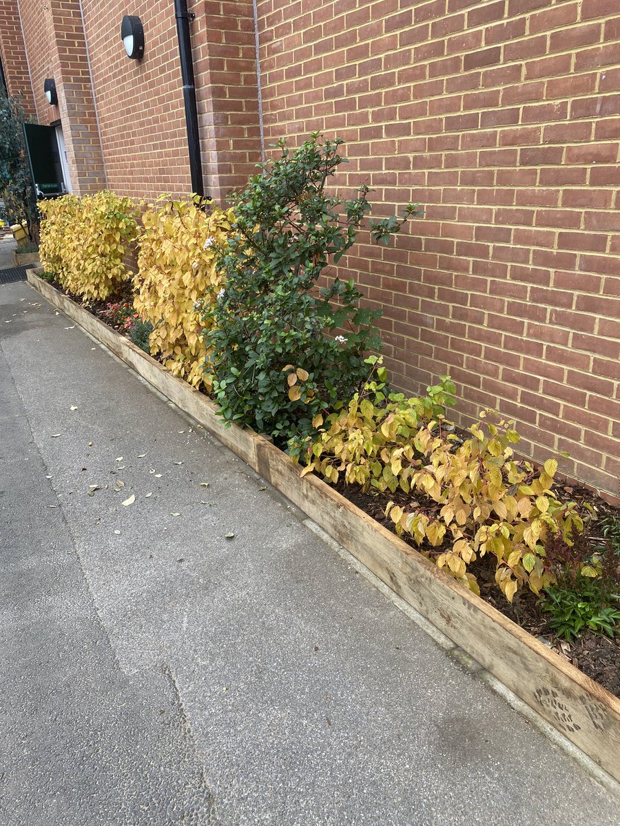 @Estates_WHS tweet media