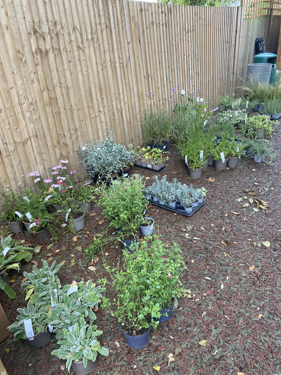 @Estates_WHS tweet media