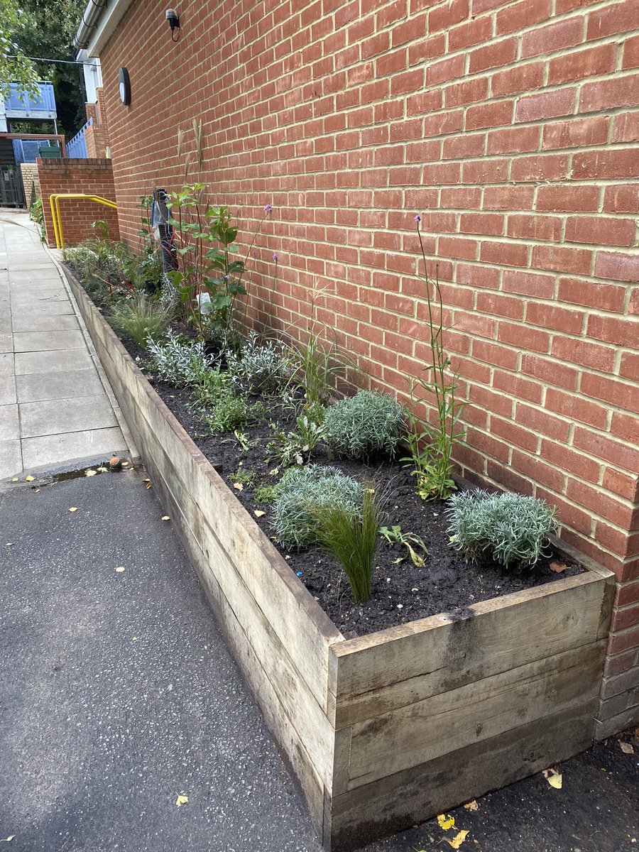 @Estates_WHS tweet media