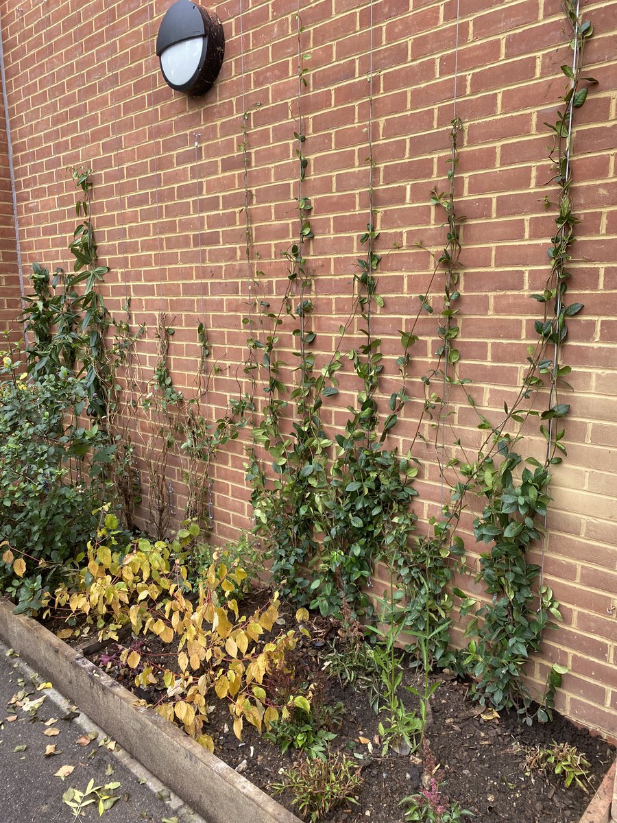 @Estates_WHS tweet media