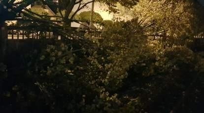 NicolasVARLET2's tweet photo. 🌳+🌪️= ⛔🚊
#tempeteAurore
Nous faisons notre maximum depuis cette nuit pour que nos trains puissent circuler en toute sécurité sur l'ensemble de la ligne🪚
@train_nomad #TeamParisGranville
@OChoux https://t.co/9et516zKA6