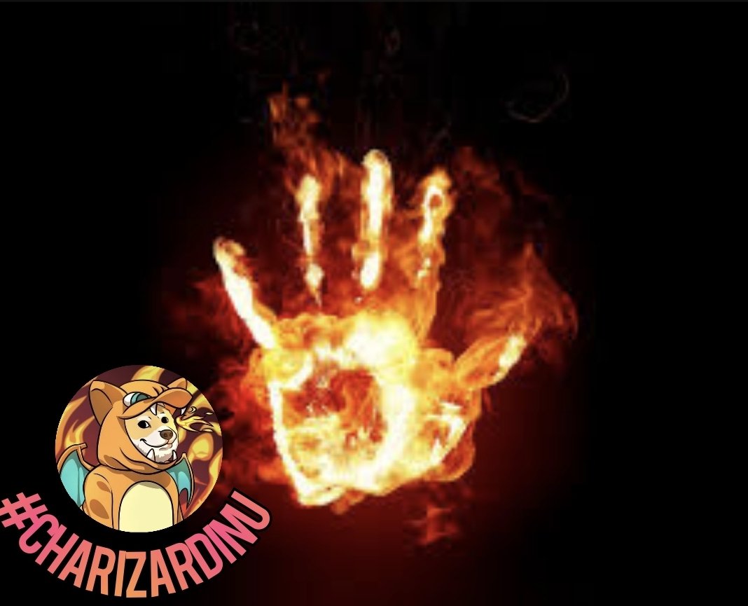 Charizard_Leaf's tweet photo. @_Mr_Sax_Man_ @CharizardCrew @LoganPaul $CHARI @CharizardInu #charizardinu #AnimeToken $Hokk $Kishu $Shib $Doge $ETH $Gojo $Luffy $Goku #GojoInu #BTC #NARUTO #LUFFY #saitamainu #weeb #anime #Goku #ethereum #cryptocurrency #Crypto #Hokage https://t.co/jZYGif5HL4