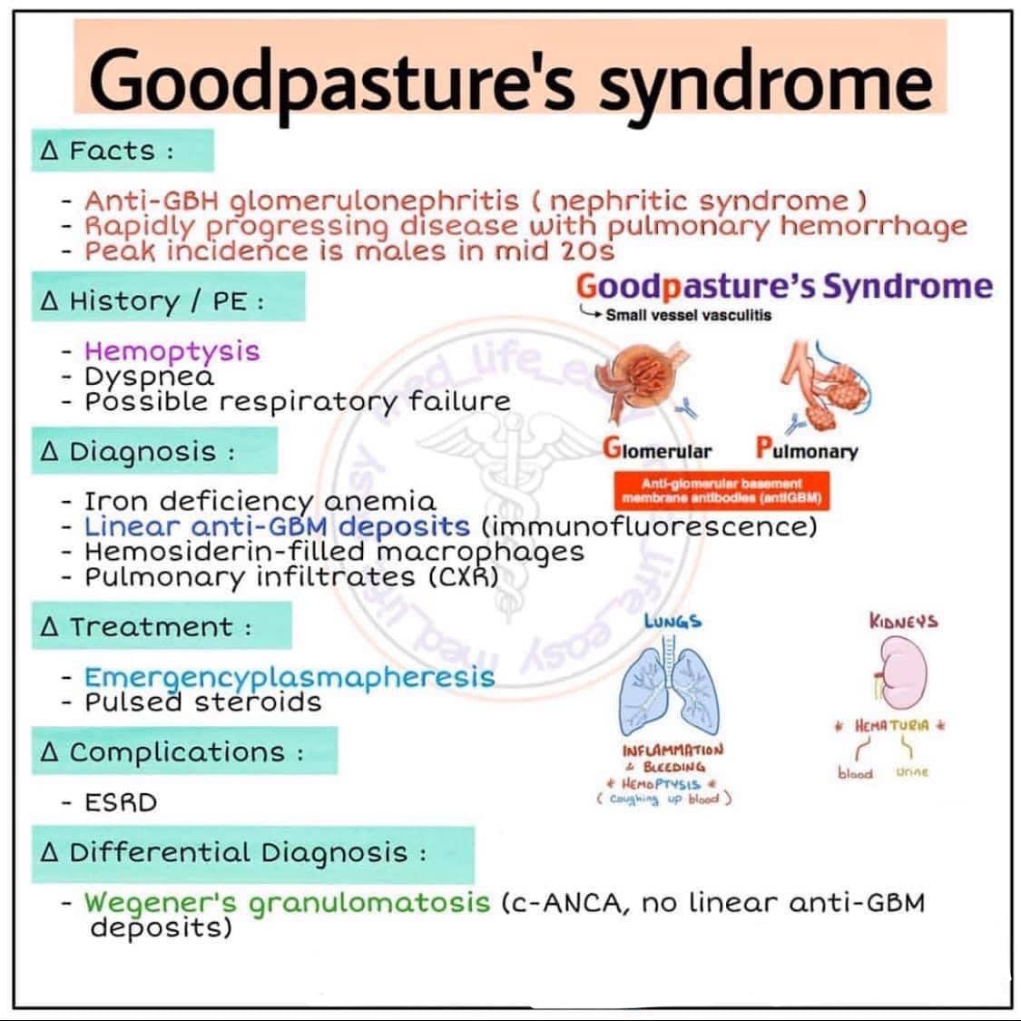 IhabFathiSulima's tweet photo. All the following is true about #Goodpasture Syndrome except ? https://t.co/LNamrOZXMB