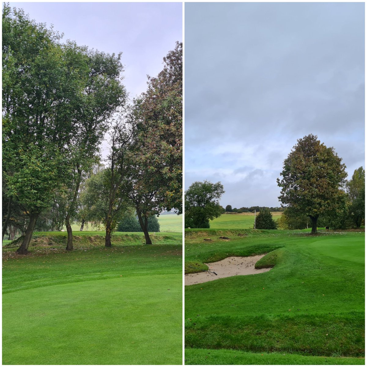 Howley Hall Greens Team tweet media