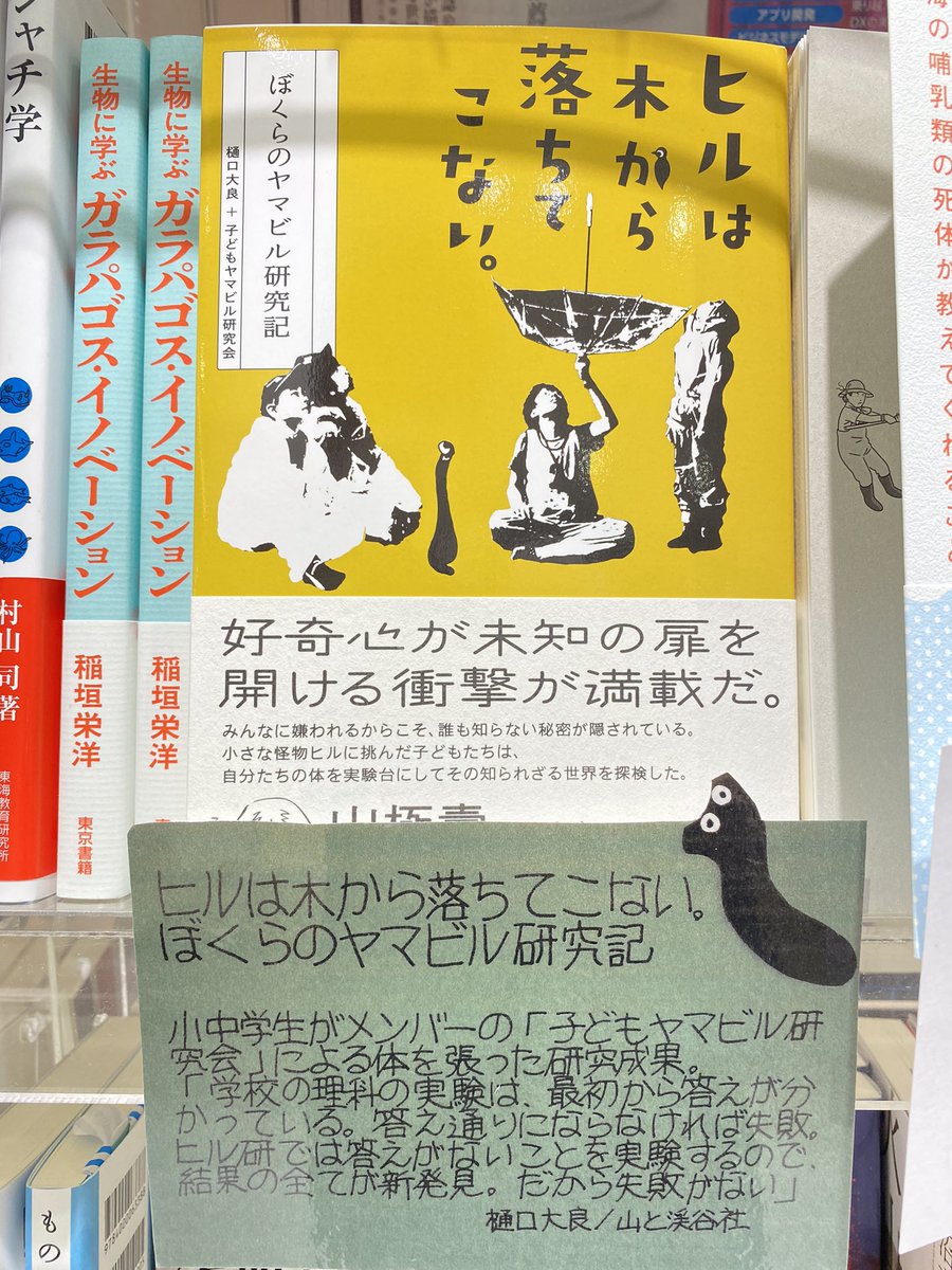 本日発売 山と溪谷 21年11月号 Www Yamakei Co Jp Products Html 特 山と溪谷社 出版営業部 本日発売 山と溪谷 21年11月号 Www Yamakei Co Jp Products Html 特 山と溪谷社 出版営業部