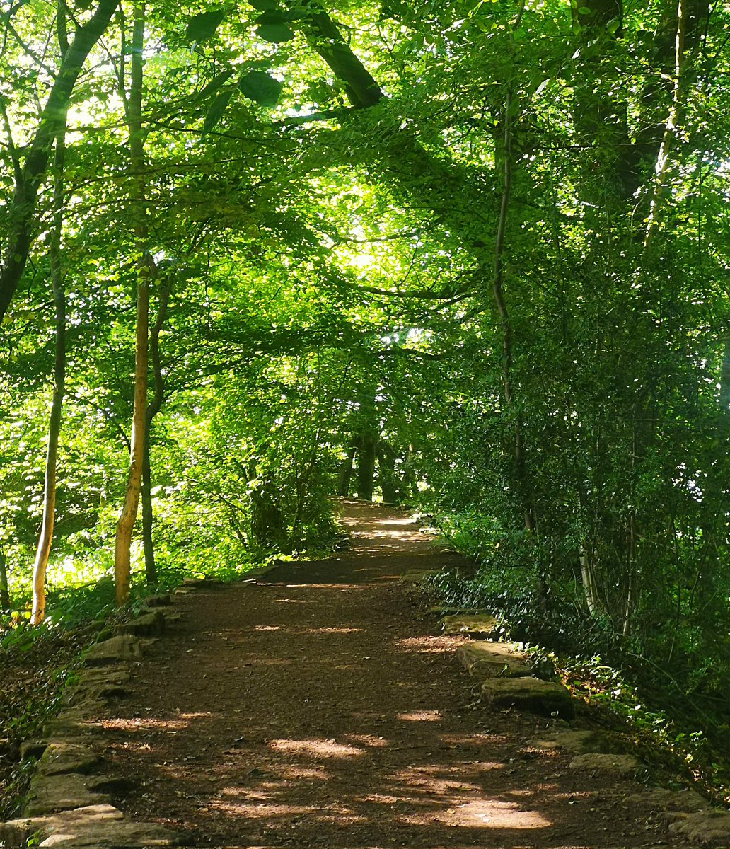 StefanLVidak's tweet photo. Which path do you #choose?
The soundly-paved road, the well-beaten track, or the #pathlesstravelled?
Or do you forge your own way through the #wilderness?
#GetOutside #Respect #nature #photography #mentalhealth #Wood #moor #farm #flora #fauna #inspiration @SianVidak https://t.co/V7FUKxn4Mu