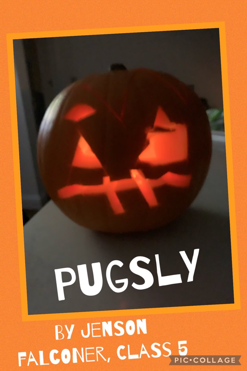 FalconerSj's tweet photo. @ArchibaldFirst Introducing Pugsley Pumpkin by Jenson, Class 5 #AFSPumpkins https://t.co/StqJbWNgpM