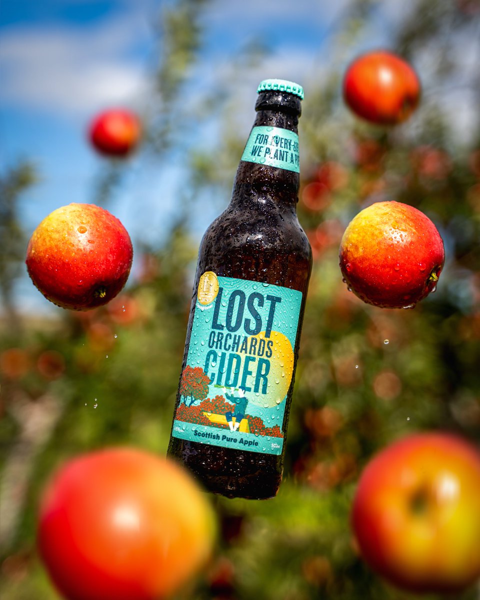Lost Orchards tweet media