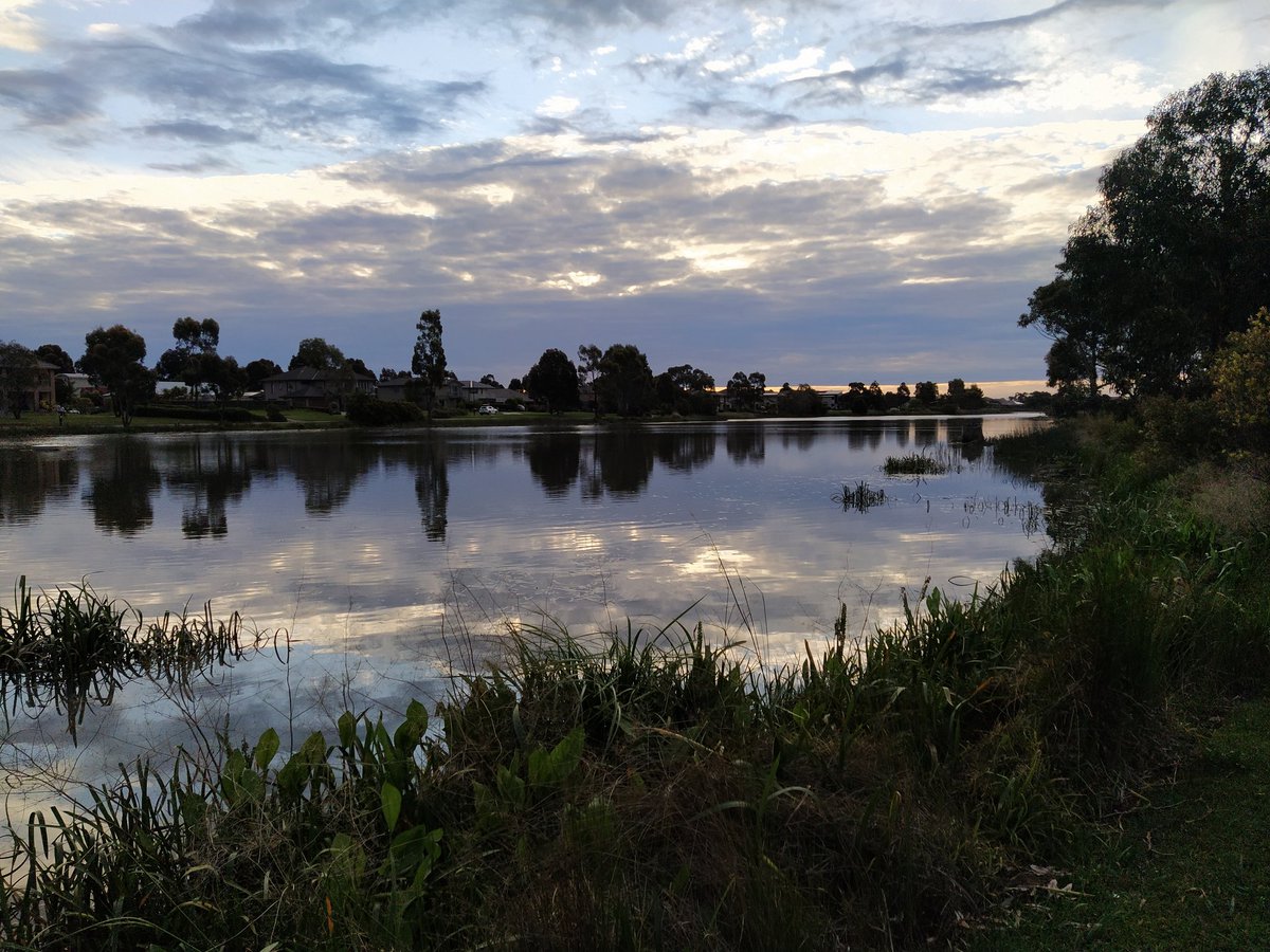 Barbara Maren tweet media