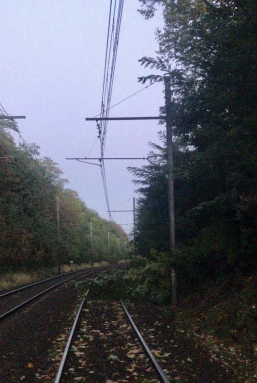 La tempête Aurore a traversé le territoire et a provoqué de nombreuses chutes d’arbres. Depuis cette nuit, les équipes de l’Infrapôle PSO ont été mobilisées pour rétablir le trafic. Ci-joint quelques photos <a href="/GroupeSNCF/">Groupe SNCF</a> <a href="/SNCFReseau/">SNCF Réseau</a> <a href="/lignesNetU_SNCF/">Lignes N et U</a> <a href="/RERC_SNCF/">RER C</a> #IPSO