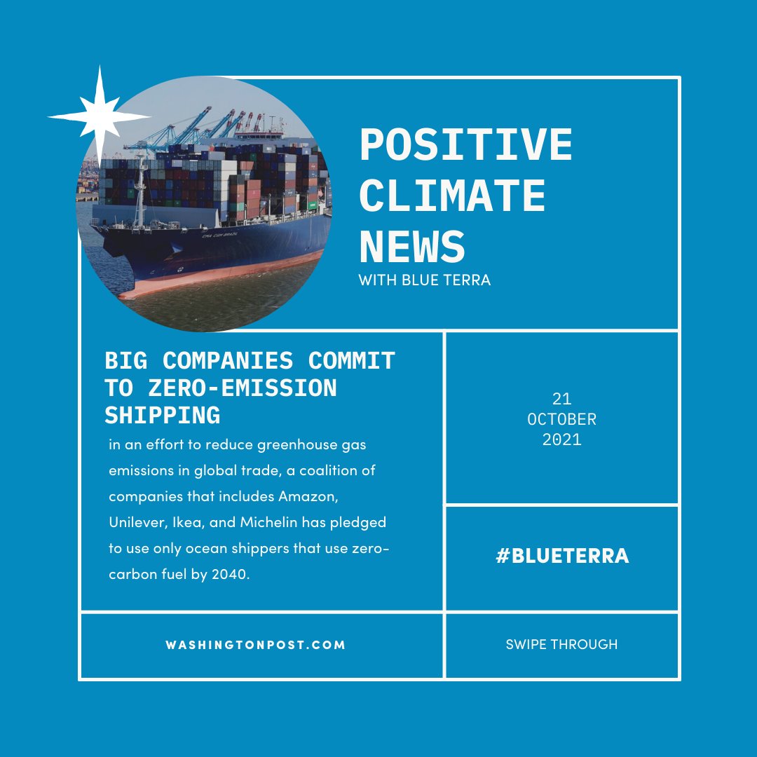 Blue Terra tweet media