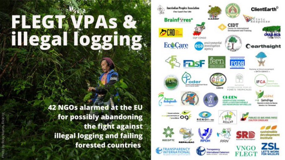 42 NGOs &amp; civil society organisations around the 🌍 are concerned that the EU may consider repealing #FLEGT #VPAs. They call on the <a href="/EU_Commission/">European Commission</a> to maintain its support to these key legal instruments to fight #illegallogging.

Here is our letter: fern.org/publications-i…