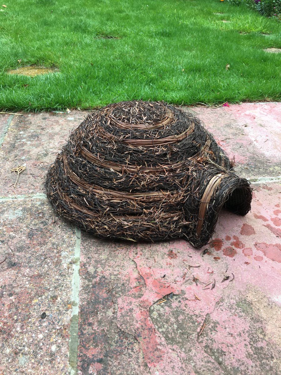 ℭ𝔩𝔦𝔳𝔢𝔚 🦔🚑 tweet media