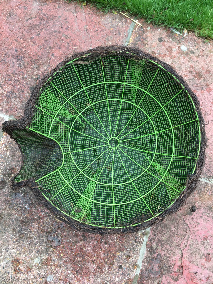 ℭ𝔩𝔦𝔳𝔢𝔚 🦔🚑 tweet media